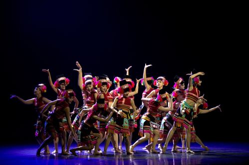 紅河州2024年第三屆群眾文化白鷴獎文藝匯演圓滿落幕，展現(xiàn)民族文化藝術(shù)新風(fēng)采